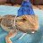 Petgirly