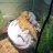 Kittin