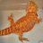 john_ny217