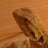 myzeak