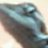 tweet0302