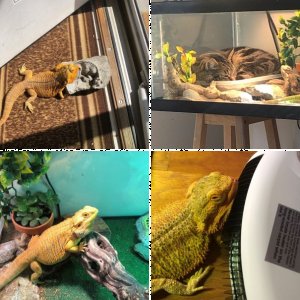 KevinsMom33's Legacy Uploads