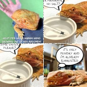 adambeck's Legacy Uploads