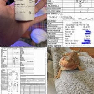 lincolnsmom's Legacy Uploads
