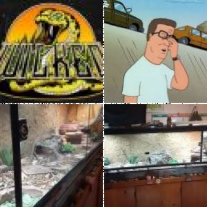 Wickedpogana's Legacy Uploads