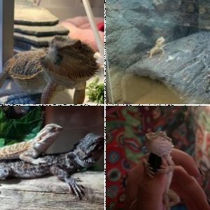 loljelloclowdz's Legacy Uploads
