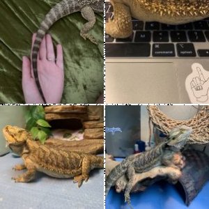 Maddy5150's Legacy Uploads
