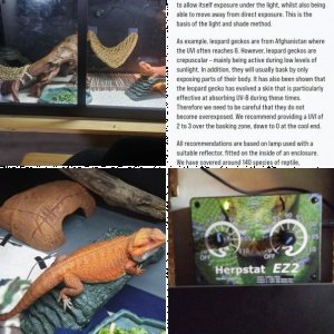 Longfellow777's Legacy Uploads