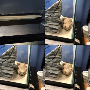 DragonMaster9817's Legacy Uploads