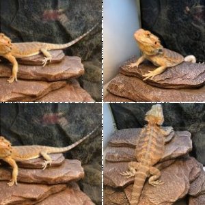 Kermit24's Legacy Uploads