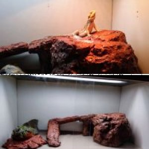 DonnaG's Legacy Uploads