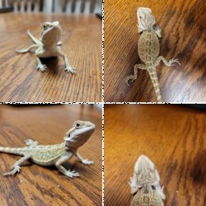 cwbriggs12's Legacy Uploads