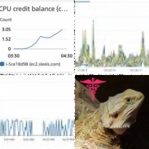 beardie's Legacy Uploads