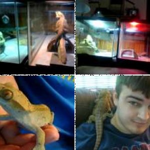MikeILC's Legacy Uploads