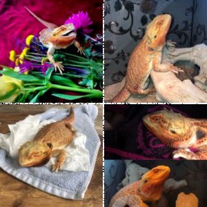 ohsmileb's Legacy Uploads