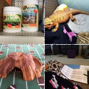 BrendaKay's Legacy Uploads