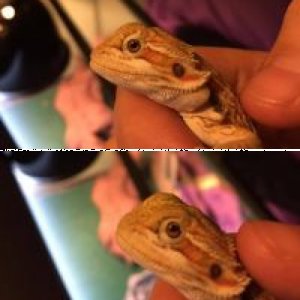 rmelena127's Legacy Uploads