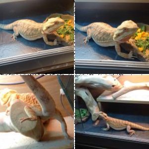 Nancy87's Legacy Uploads