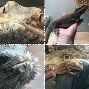 jkratman's Legacy Uploads