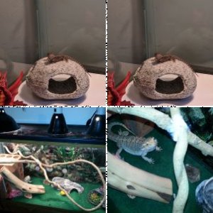 Turnage's Legacy Uploads