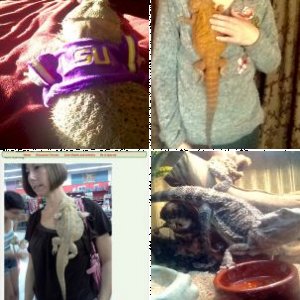 dezismom's Legacy Uploads