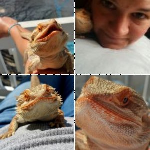 anastasia6988's Legacy Uploads
