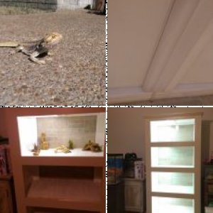 izzyLizzy's Legacy Uploads