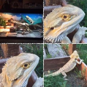 ruben0311's Legacy Uploads