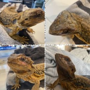Emilio's Legacy Uploads