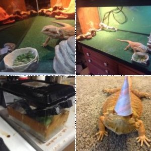 CMJHBFantasy's Legacy Uploads