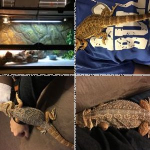 aliciazan's Legacy Uploads