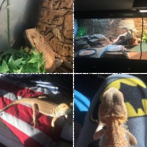 kryptozic's Legacy Uploads