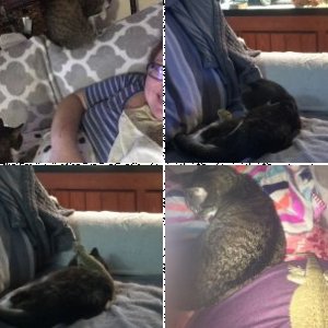 Jenny420222's Legacy Uploads