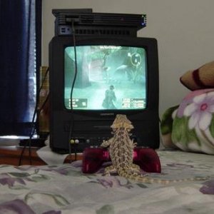 1091801162.jpg