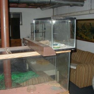 1092712450.jpg