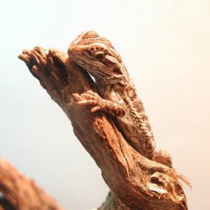 1120232253.jpg