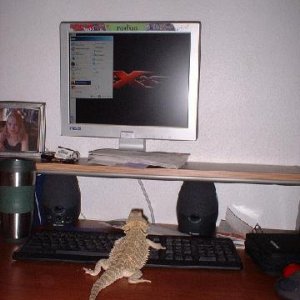 1123137912.jpg