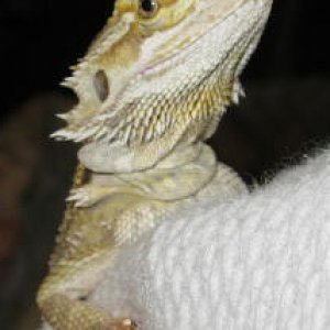 1160616663.jpg