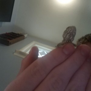 101824-4674976324.jpg