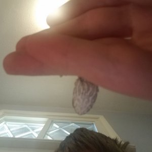 101824-7318797796.jpg