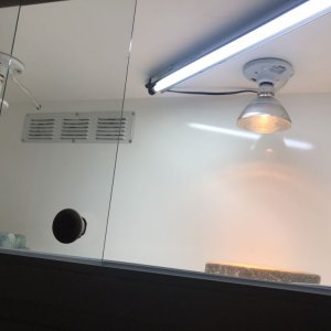 102779-9202496106.jpg