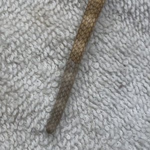 106536-132672852.jpg