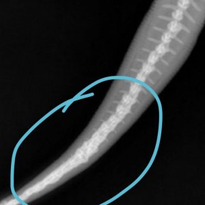 109007-4736898444.jpg