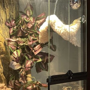 111727-1263616332.jpg