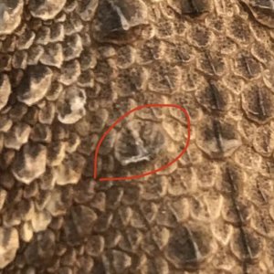 111838-3722705445.jpg