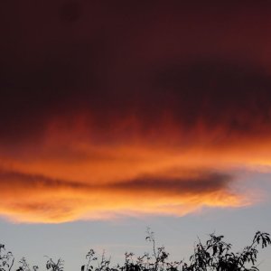 14006-2212610990.jpg