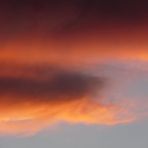 14006-5889337906.jpg