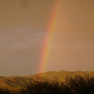 14006-8363574068.jpg