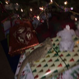 83443-6031965595.jpg