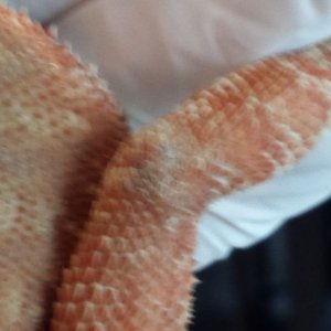 83620-2113075420.jpg